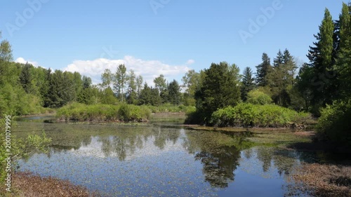 Fishtrap Creek Park during a spring season in Abbotsford, British Columbia, Canada
