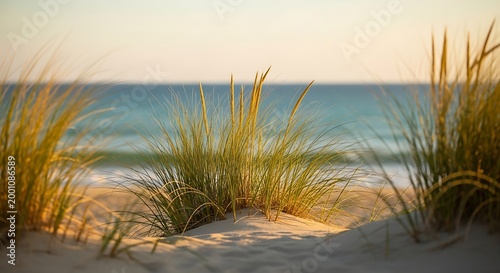 Serene beach landscape with golden grasses and gentle ocean waves at sunset