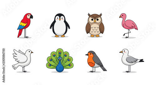 Cartoon birds collection on white background