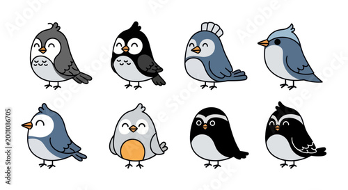 Cartoon birds collection on white background