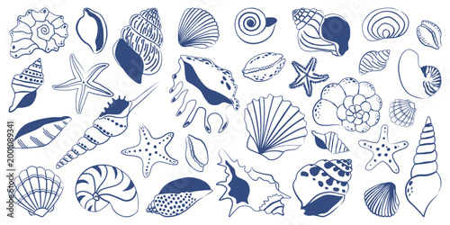 Vintage navy blue seashell line art set. Hand drawn nautical starfish, nautilus and scallop shells in engraving style