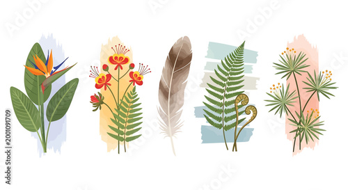 Tropical leaf and flower illustrations, watercolor plants, exotic botanicals, colorful nature elements