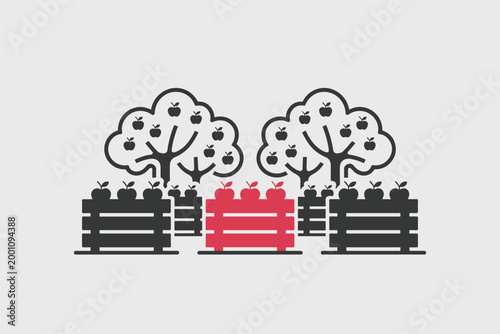 Rows of apple trees in an orchard with crates of red apples, fruit harvest concept
