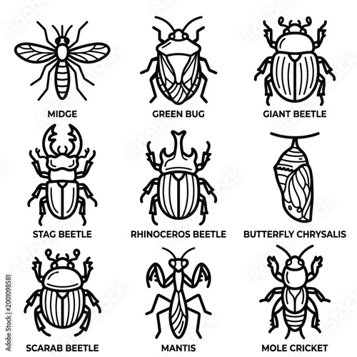 Insects, a collection of various bug illustrations, featuring a Midge, Green Bug, and Giant Beetle, showcasing their distinct characteristics.