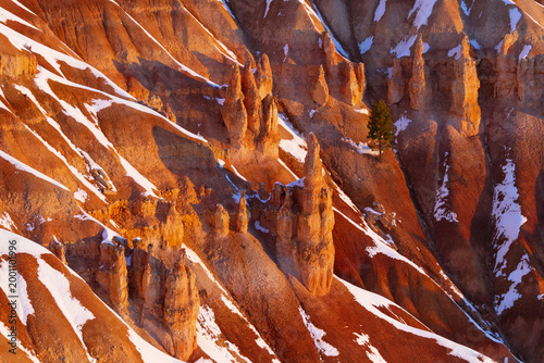 Close-up of sandstone pillars and snow patches in warm sunrise glow, Bryce Canyon National Park, Utah