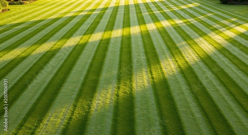 Beautiful striped green lawn showing professional landscaping and careful garden maintenance.