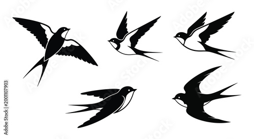 A flock of swallows in flight depicted as a striking silhouette