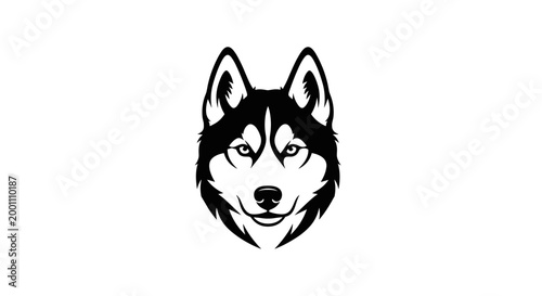 Black and white husky dog face.