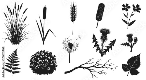 Diverse Nature Plants Flowers and Leaf Silhouettes Collection