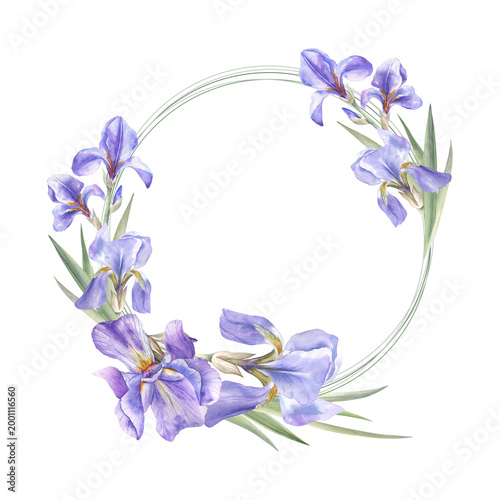 Beautiful floral wreath of the purple irises painted in watercolor. Elegant botanical design for wedding invitations, greeting cards, plates decoration, and more
