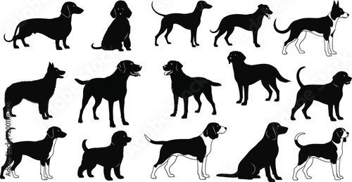 Dog breed silhouettes a collection of canine forms in black and white