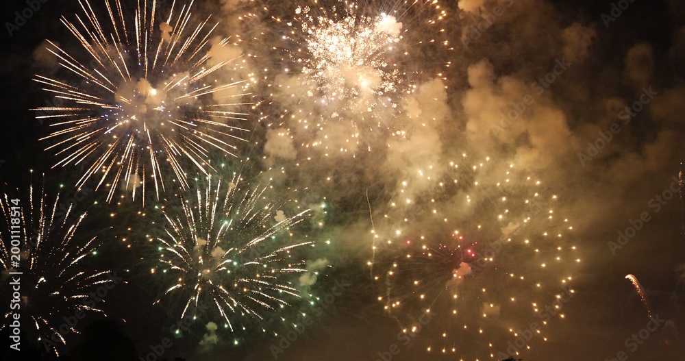 Fototapeta premium Golden Firework celebrate anniversary independence day night time celebrate national holiday. Countdown to new year 2023 party time event. Happy new year 2023, 4th of july holiday festival concept