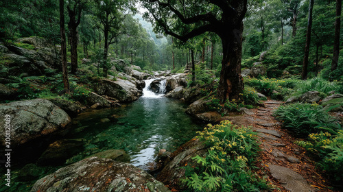 Lush Forest Stream A Tranquil Waterfall Scene in Natures Embrace.