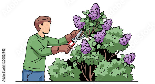 Gardener pruning blooming lilac bush with shears. Man doing yard work in spring. Illustration on white background