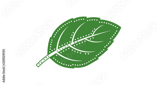 Green Leaf Illustration with White Veins.