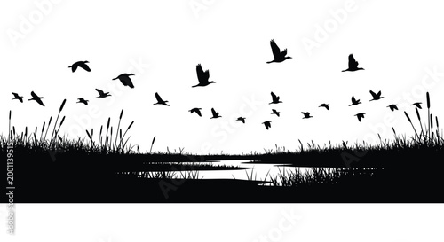 Birds in flight silhouette a dramatic black and white landscape with wetland vegetation
