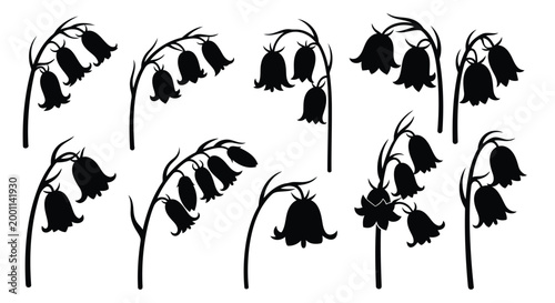 Foto Adobe Illustrator Artwork