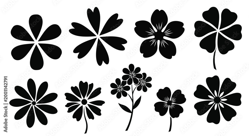 Fototapeta premium Adobe Illustrator Artwork