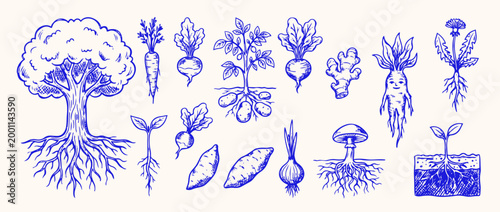 Nature's Bounty: An illustrative portrayal of various root vegetables, trees, and fungi, showcasing the diverse beauty of nature.