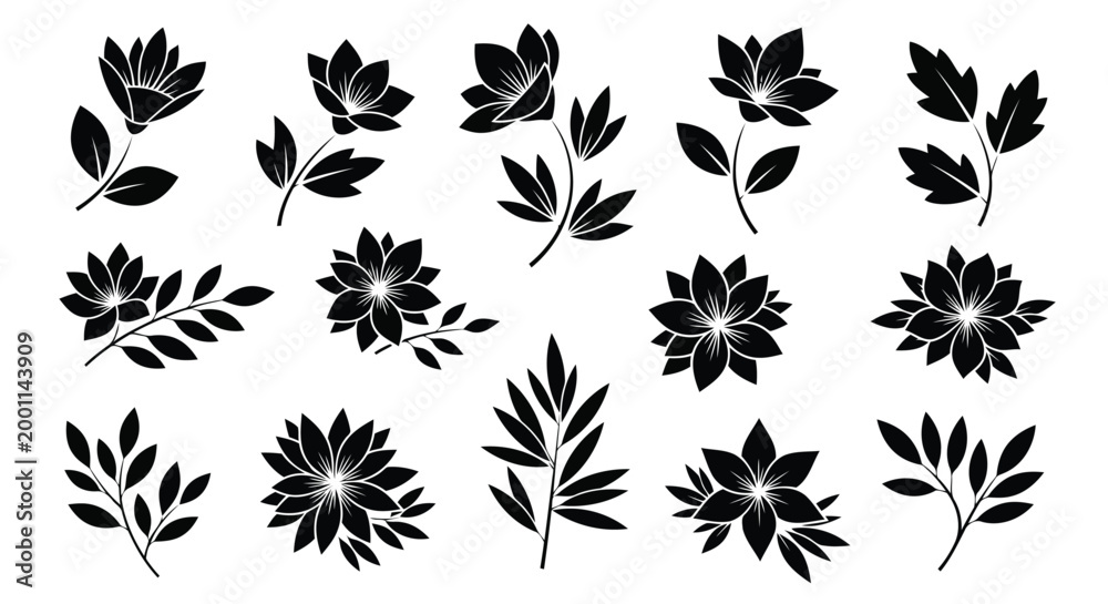 Fototapeta premium Adobe Illustrator Artwork