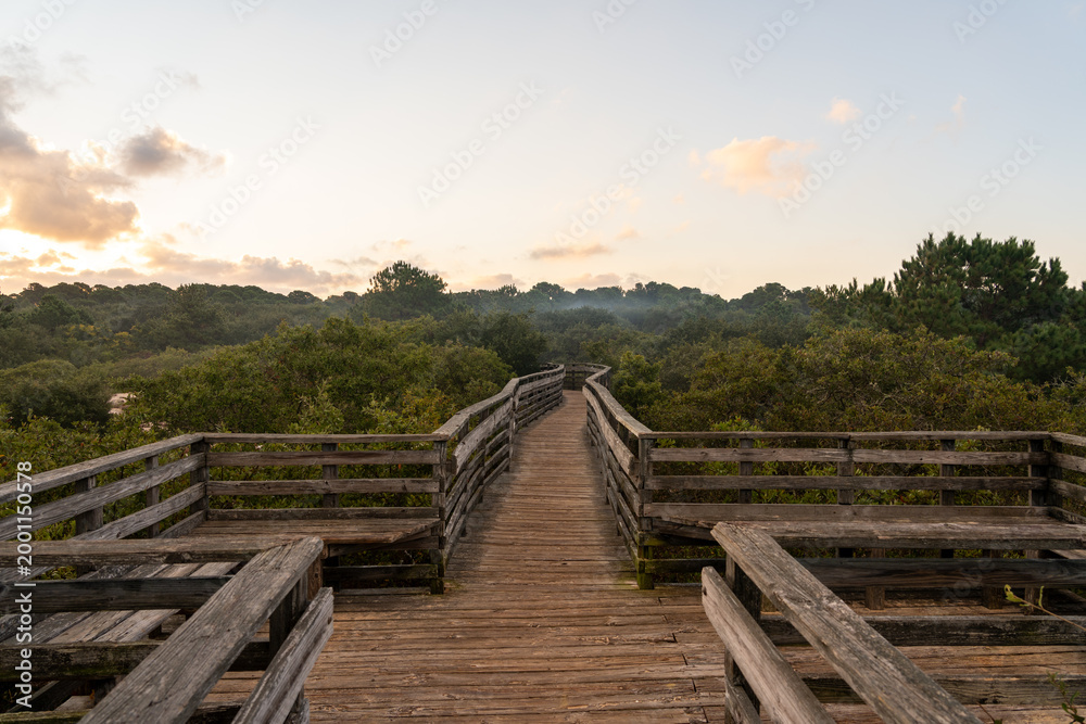 Fototapeta premium Morning sun above a weathered wooden boardwalk at First Landing State Park