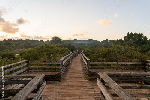 Morning sun above a weathered wooden boardwalk at First Landing State Park