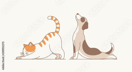 Cat and dog sitting side by side.