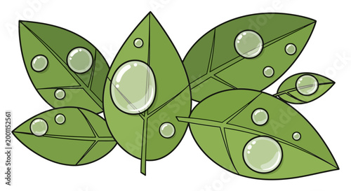 Green leaves with water droplets on them.