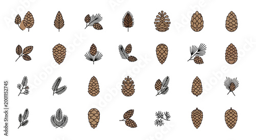 Pinecones and butterflies on white.