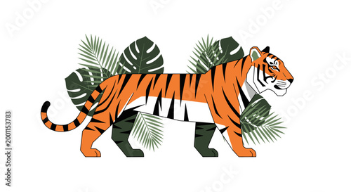 Bengal tiger walking among tropical palm and monstera leaves