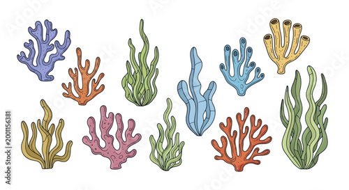 Collection of colorful underwater coral reef plants and organisms.