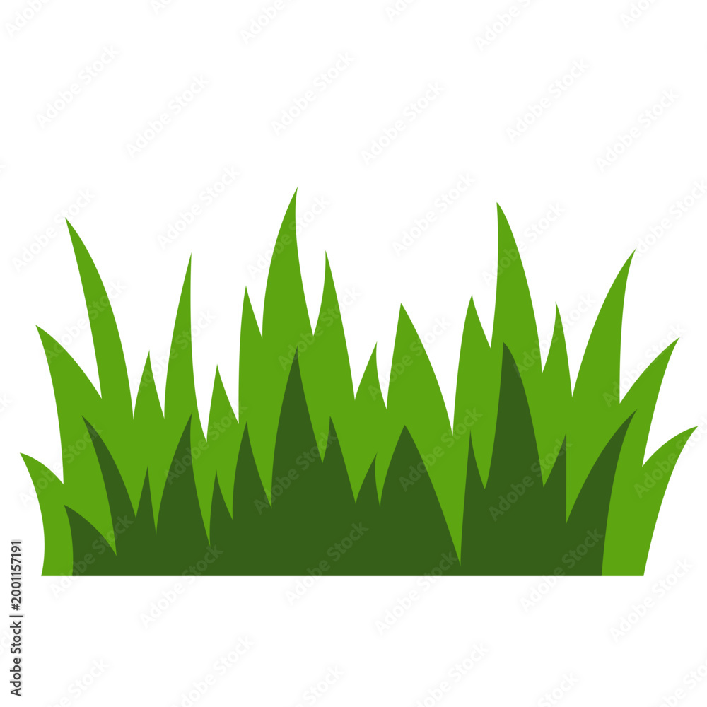Fototapeta premium Tall green grass patch, nature vegetation element, lawn field, vector illustration icon design.