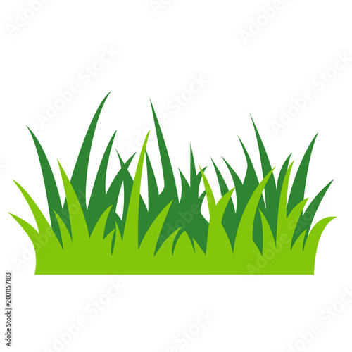 Tall green grass clump, nature vegetation element, lawn field, vector illustration icon design.