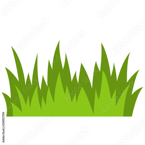 Tall green grass patch, nature vegetation element, lawn field, vector illustration icon design.