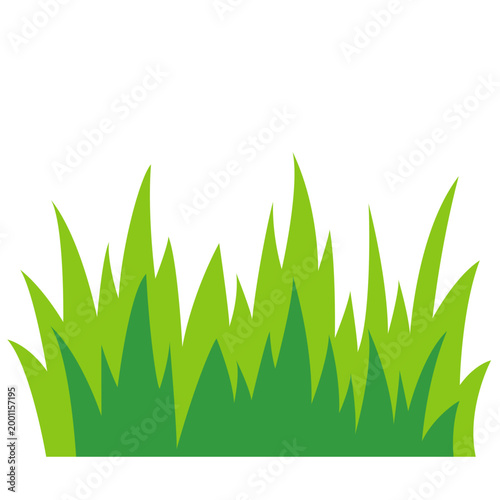 Tall green grass patch, nature vegetation element, lawn field, vector illustration icon design.