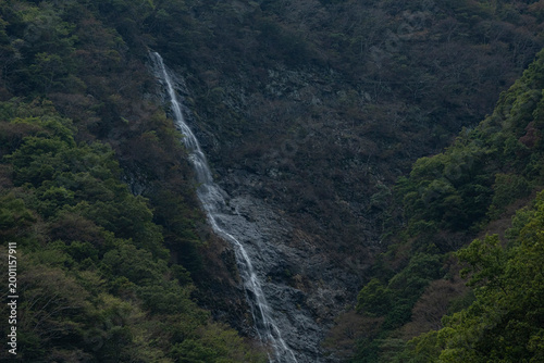 山梨県西八代郡市川三郷町にある千波の滝
