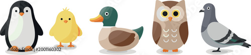 Cute bird character vector set with penguin chick duck owl pigeon in colorful flat cartoon illustration style
