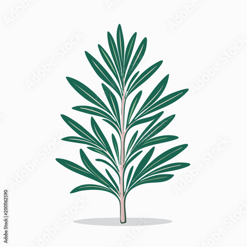 Illustration of a Rosemary Sprig