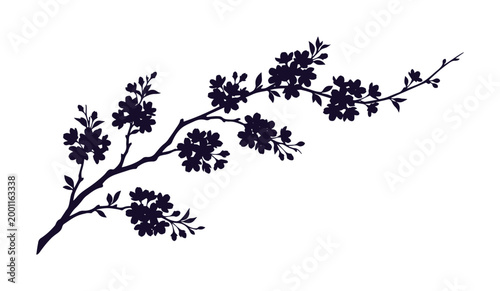 Japanese cherry blossom branch silhouette, black sakura floral vector illustration, elegant spring tree twig with blooming flowers and buds isolated on White Background