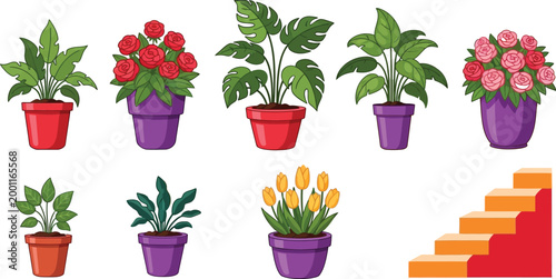 Colorful potted plants and flower arrangement on steps Vector