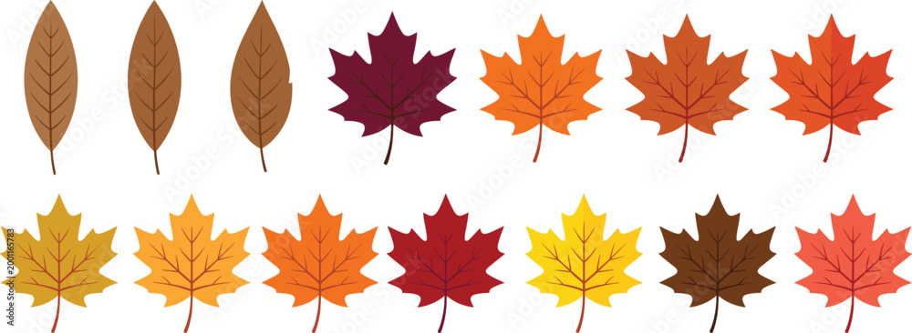 Fototapeta premium Autumn Leaves Vector Collection - Multiple Maple Leaf Designs with Seasonal Fall Colors and Variations