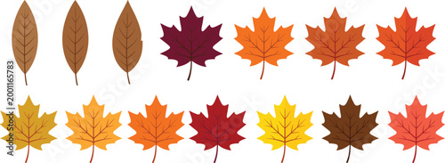 Tableau sur toile Autumn Leaves Vector Collection - Multiple Maple Leaf Designs with Seasonal Fall