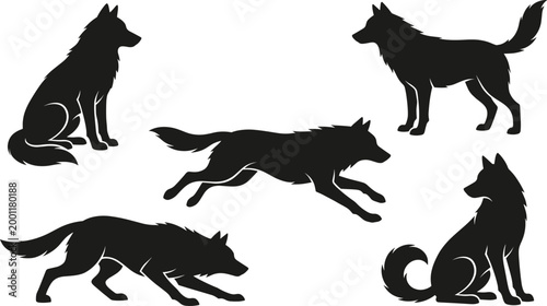 Black Silhouette Wolf Collection Set with Different Poses Like Sitting Standing Running and Stalking Vector Illustration on White Background