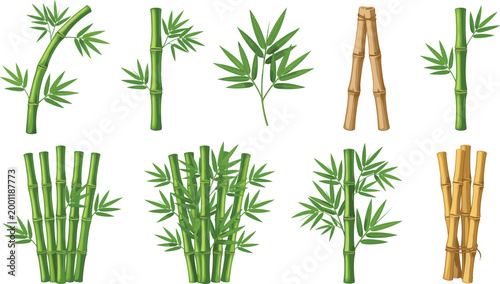 Cartoon Green and Brown Bamboo Stalk and Stem Collection Set with Leaves and Bundles Asian Nature Plant Vector Illustration on White Background