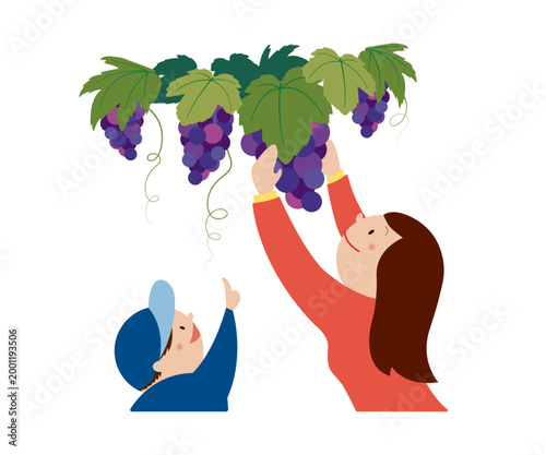 秋の行楽でぶどう狩りを楽しむ親子（お母さんと男の子）のイラスト