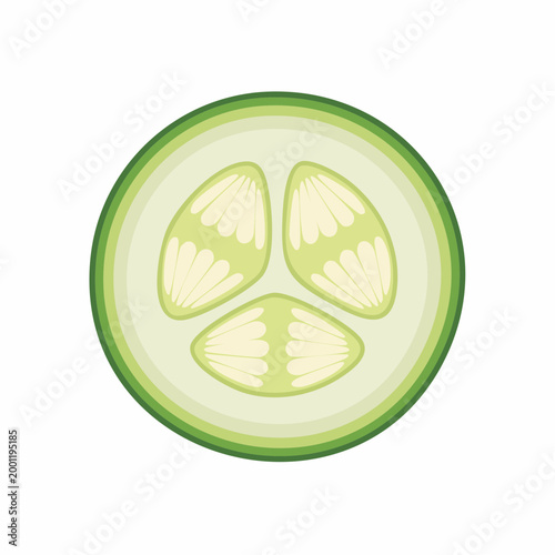 Fresh Green Cucumber Slice Isolated on White Background Healthy Food Ingredient