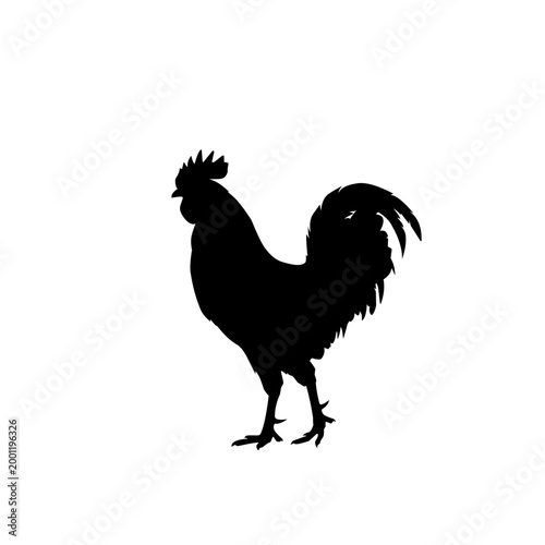 Rooster silhouette illustration isolated on white background, bold black farm bird graphic ideal for logo design, poultry themes, country decor, agriculture branding and animal related projects