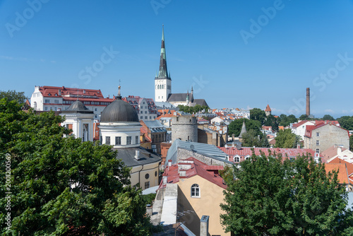 Looking out above the treetops to the roofs and steeples of Tallinn Estonia