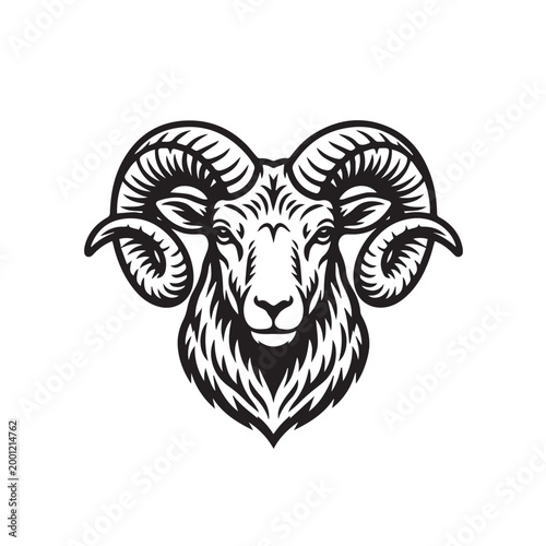 Vector illustration of a horned sheep head in portrait style, crafted with smooth curves and delicate details, expressing beauty and elegance in a clean, modern artistic design.