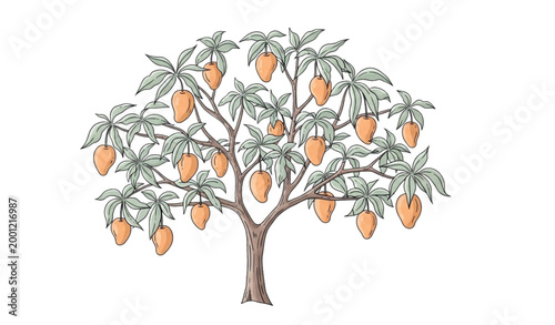 Mango tree illustration a vibrant depiction of tropical fruit and foliage